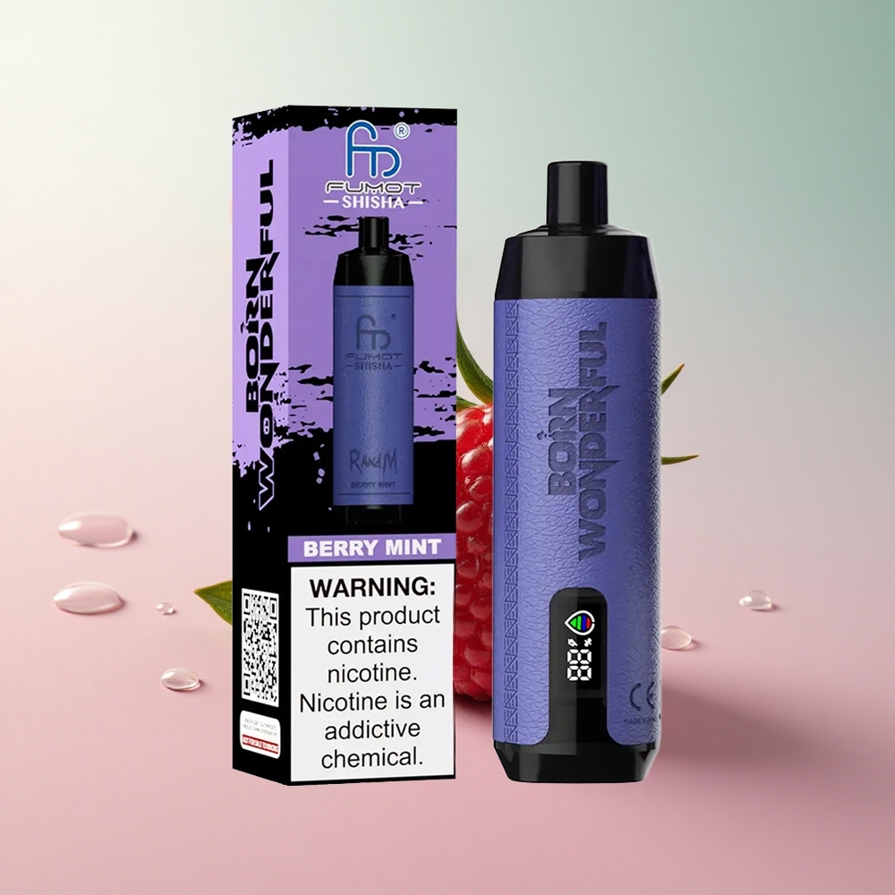 RandM Fumot Shisha 10000 Puffs Berry Mint Disposable Vape 18ml Type-C