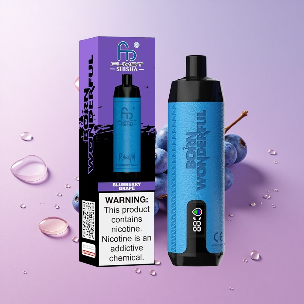 RandM Fumot Shisha 10000 Puffs Blueberry Grape Disposable Vape 18ml