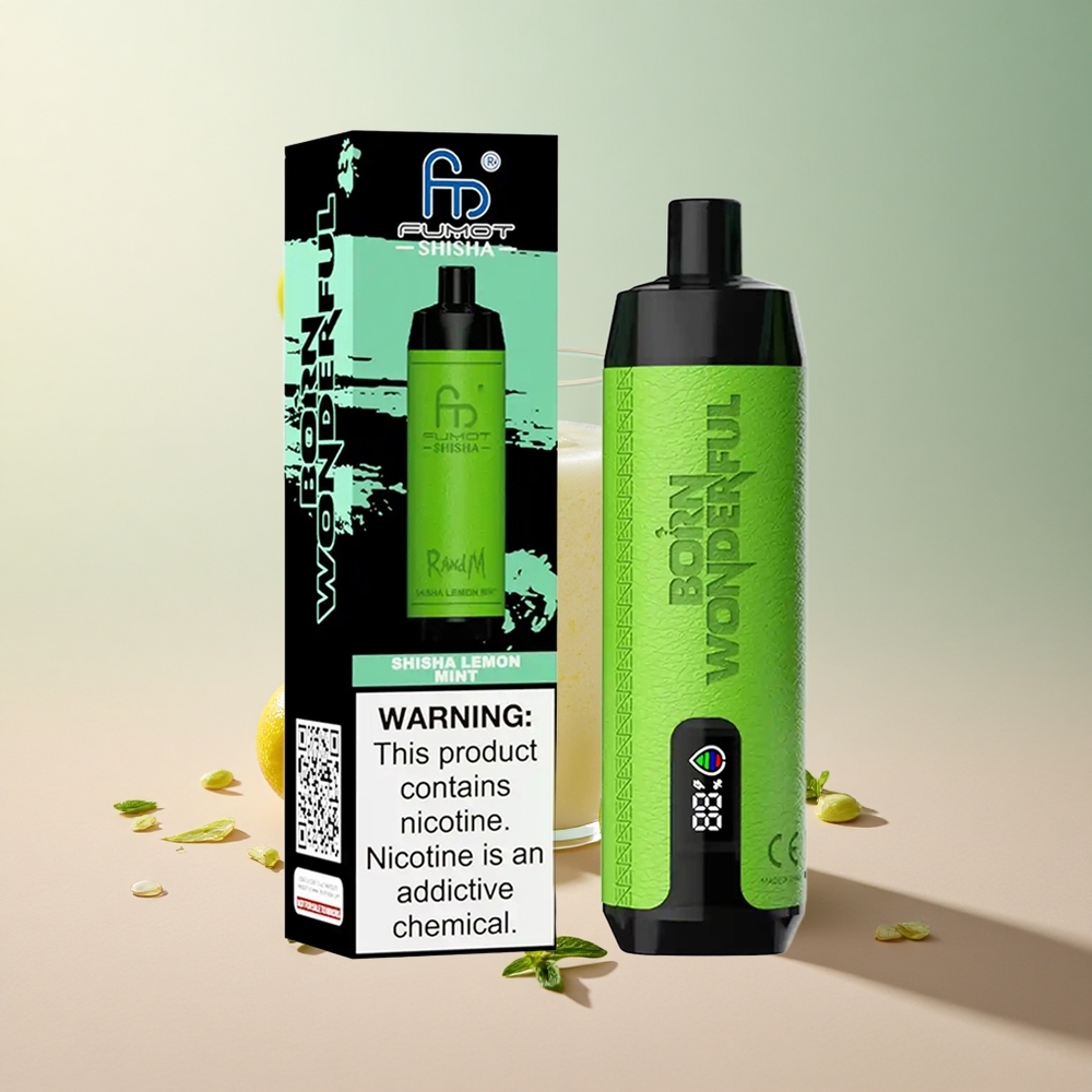 RandM Fumot Shisha 10000 Puffs Lemon Mint Disposable Vape with Type-C Port