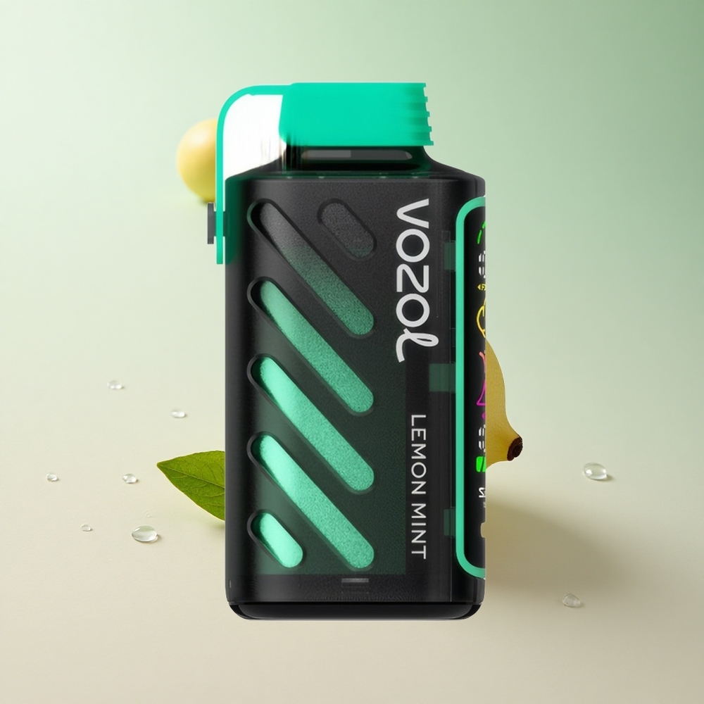 VOZOL Gear 20000 Puffs Lemon Mint Dual Mesh