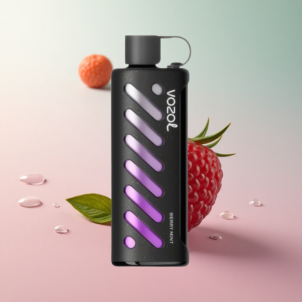 VOZOL Gear 25000 Berry Mint Dual Mesh