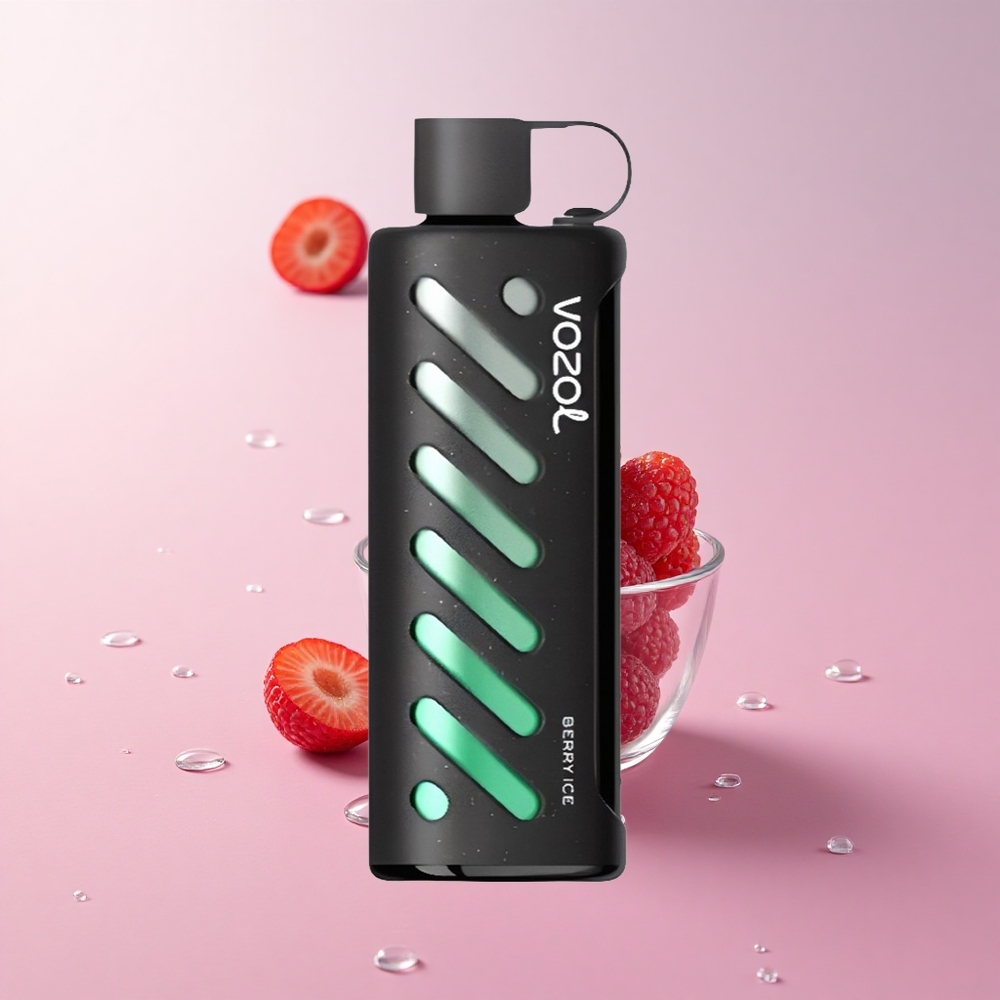 VOZOL Gear 25000 Puffs Berry Ice Dual Mesh