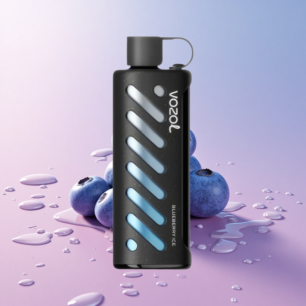 VOZOL Gear 25000 Puffs Blueberry Ice Dual Mesh