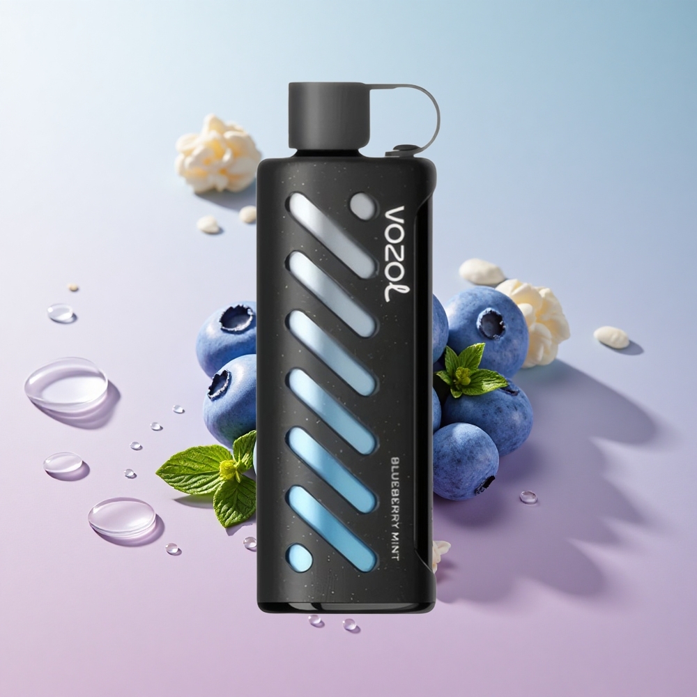 VOZOL Gear 25000 Puffs Blueberry Mint Dual Mesh