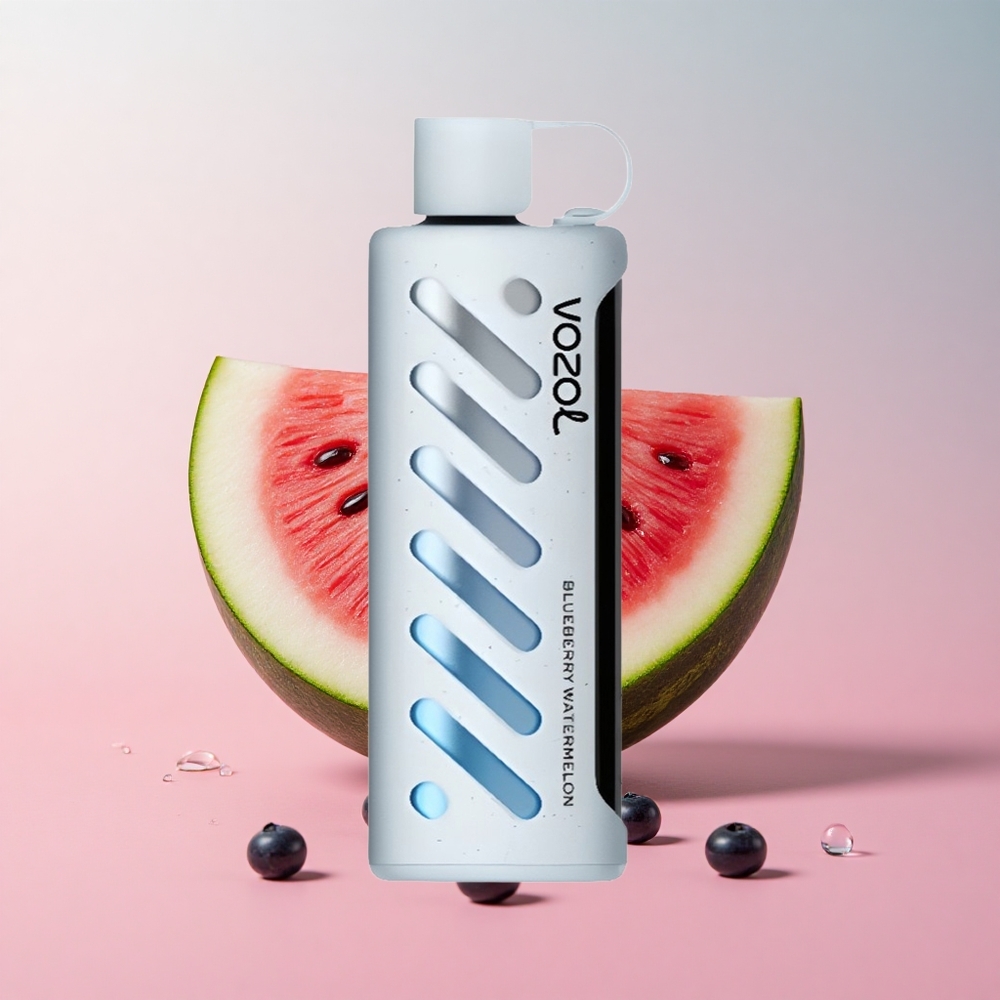 VOZOL Gear 25000 Puffs Blueberry Watermelon Dual Mesh