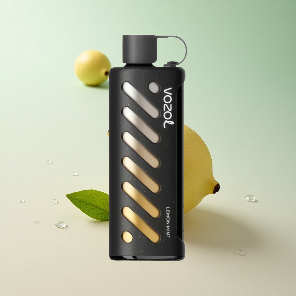 VOZOL Gear 25000 Puffs Lemon Mint Dual Mesh