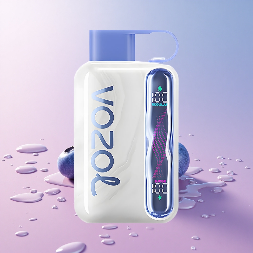 VOZOL STAR 40000 Blueberry Ice Type-C Charging Port