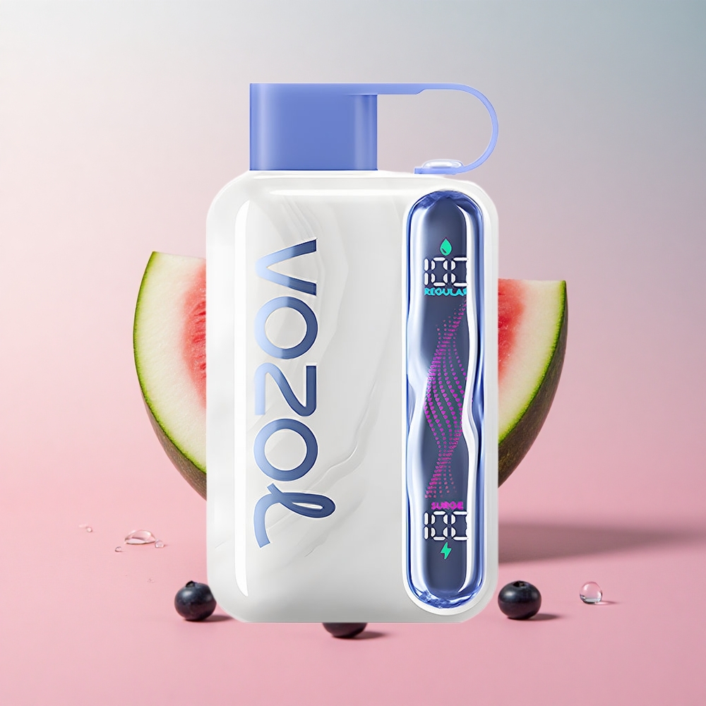 VOZOL STAR 40000 Blueberry Watermelon Type-C Charging Port