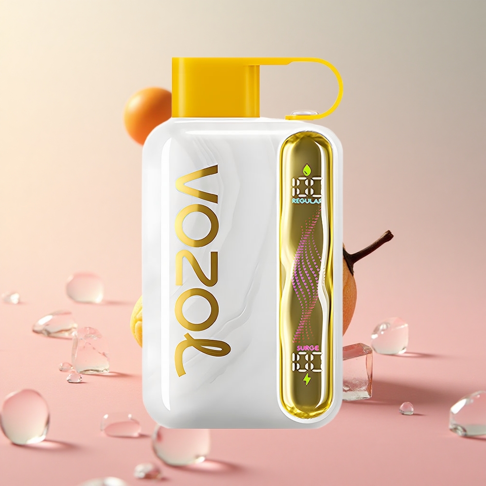 VOZOL STAR 40000 Mango Ice 1000mAh Type-C Charging Port