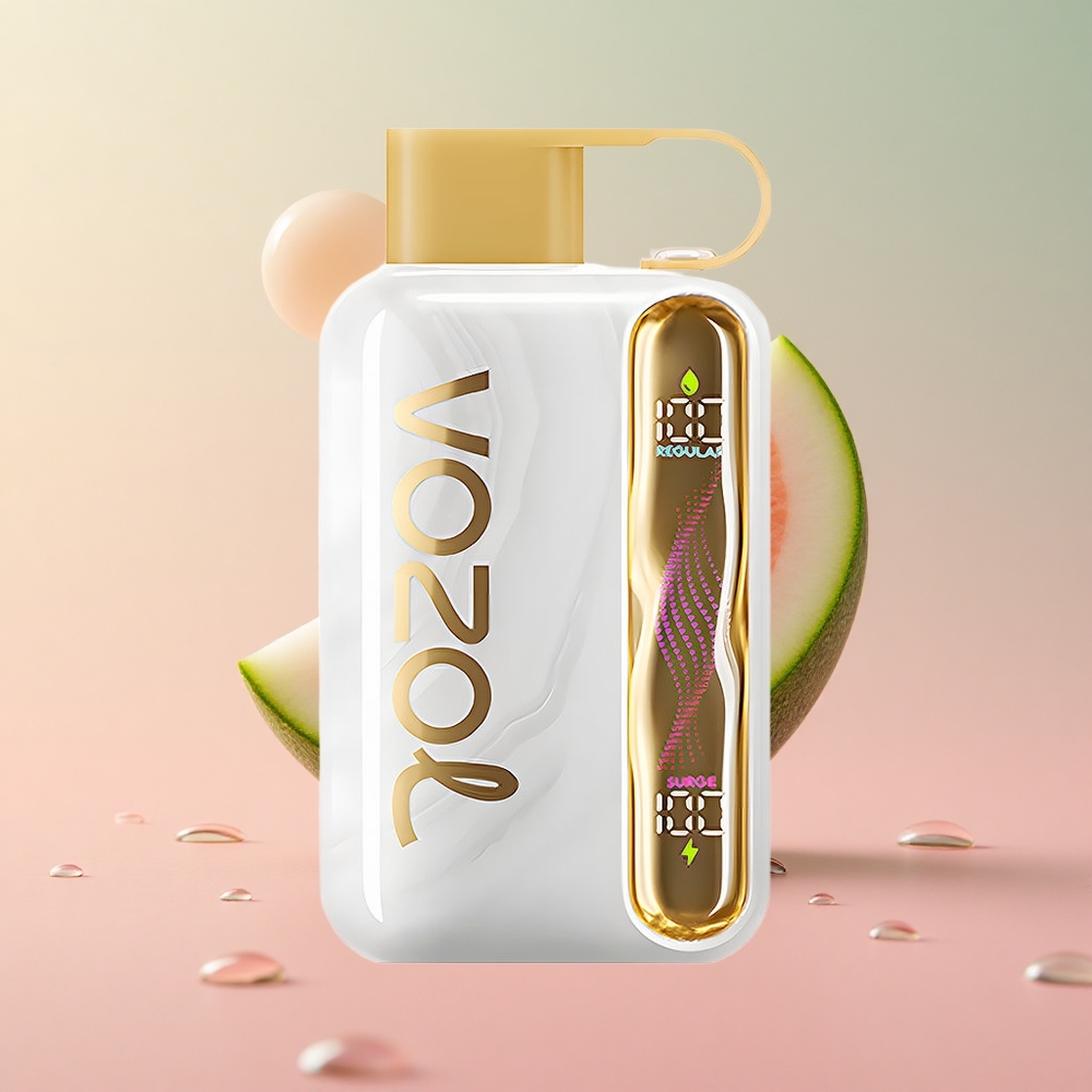 VOZOL STAR 40000 Melon Gum Disposable Vape Type-C Charging Port