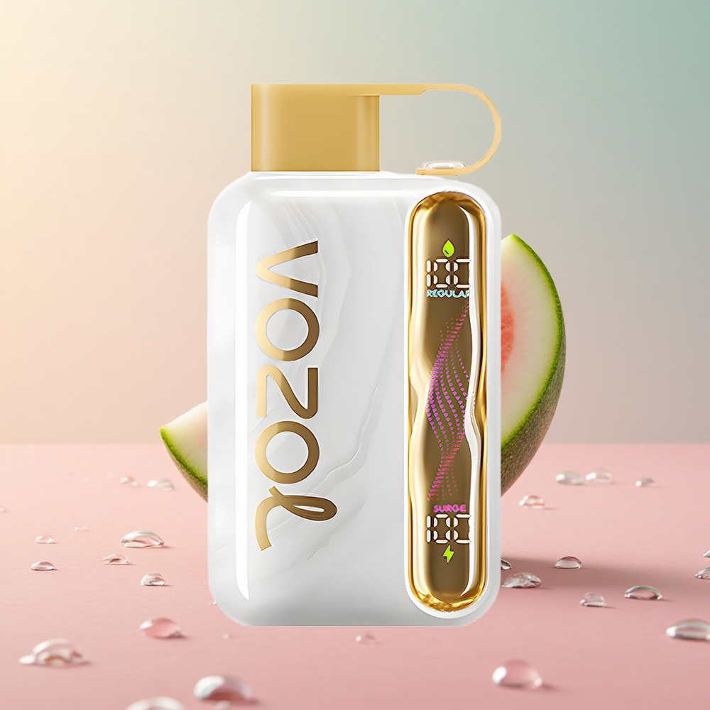 VOZOL STAR 40000 Melon Ice Type-C Charging Port