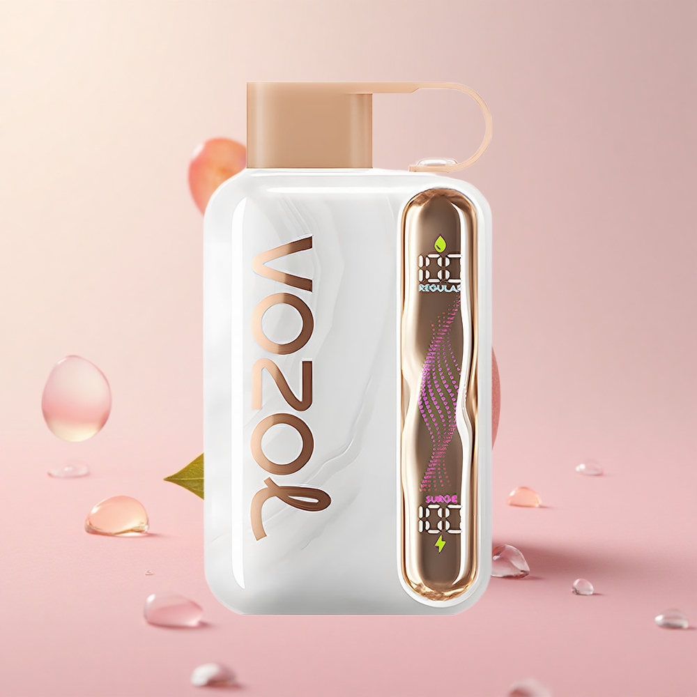 VOZOL STAR 40000 Peach Ice Disposable Vape 1000mAh Type-C Charging Port