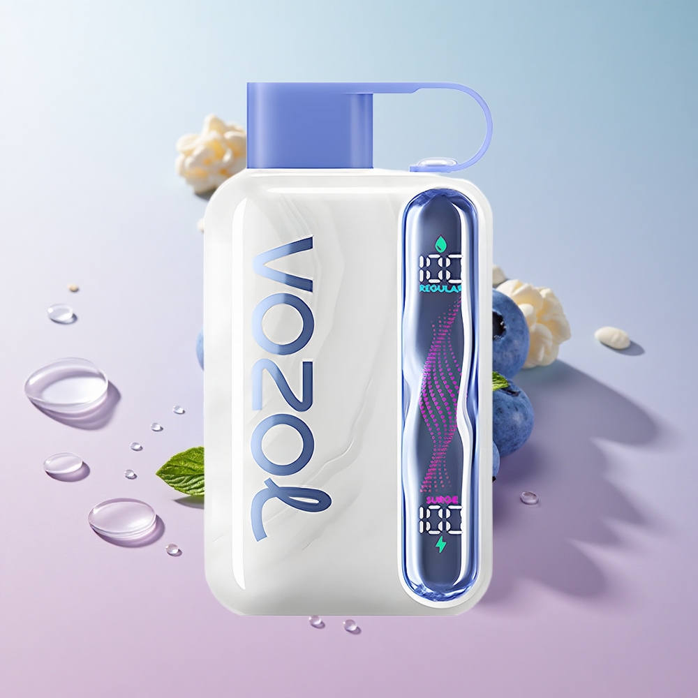 VOZOL STAR 40000 Puffs Blueberry Mint 1000mAh Type-C Charging Port
