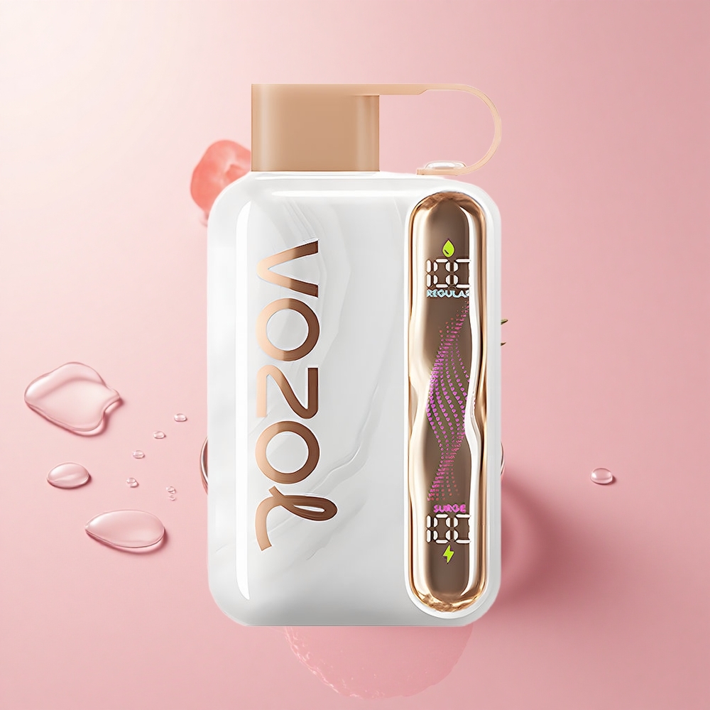 VOZOL STAR 40000 Strawberry Ice Type-C Charging Port Disposable Vape