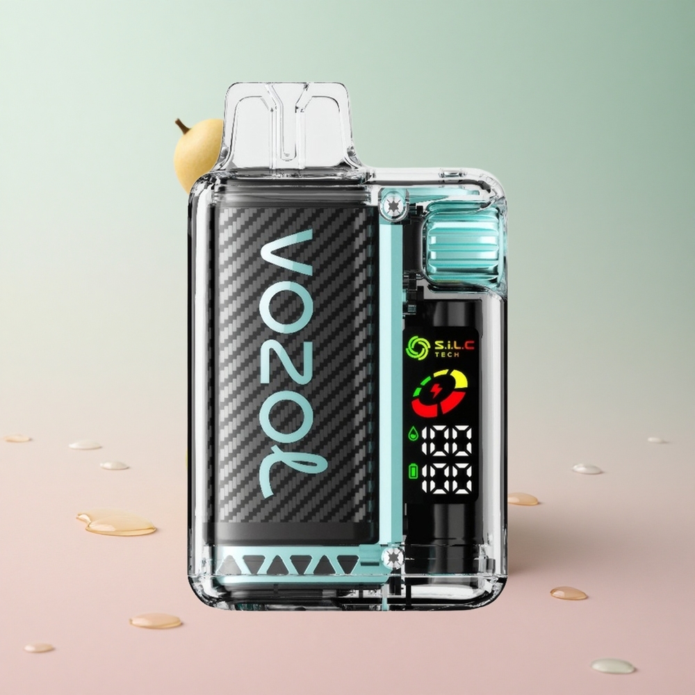 VOZOL Vista 20000 Miami Mint 650mAh Rechargeable Battery OLED Screen