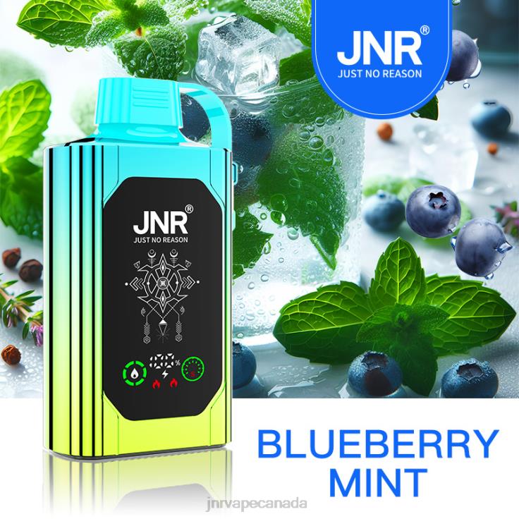 JNR SHISHA BOX Blueberry Mint D60PP88 - JNR Vape Price