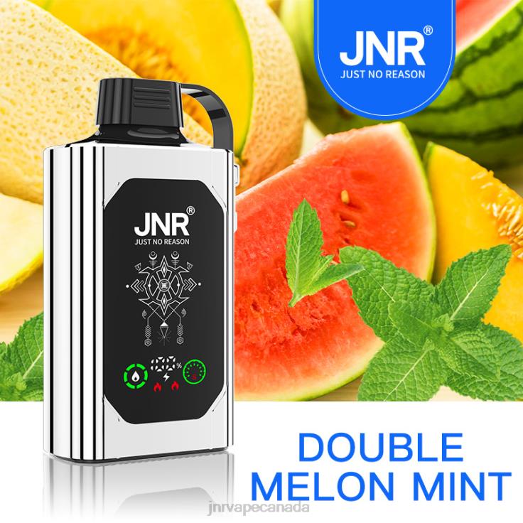 JNR SHISHA BOX Double Melon Mint D60PP89 - JNR Vape Review