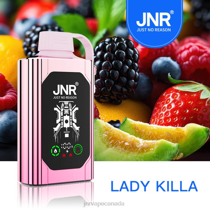 JNR SHISHA BOX Lady Killa D60PP76 - JNR Vape Shop