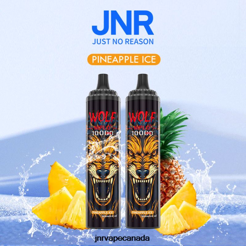 JNR WOLF NIPLO -JNR Vape Shop Pineapple ice X288J347